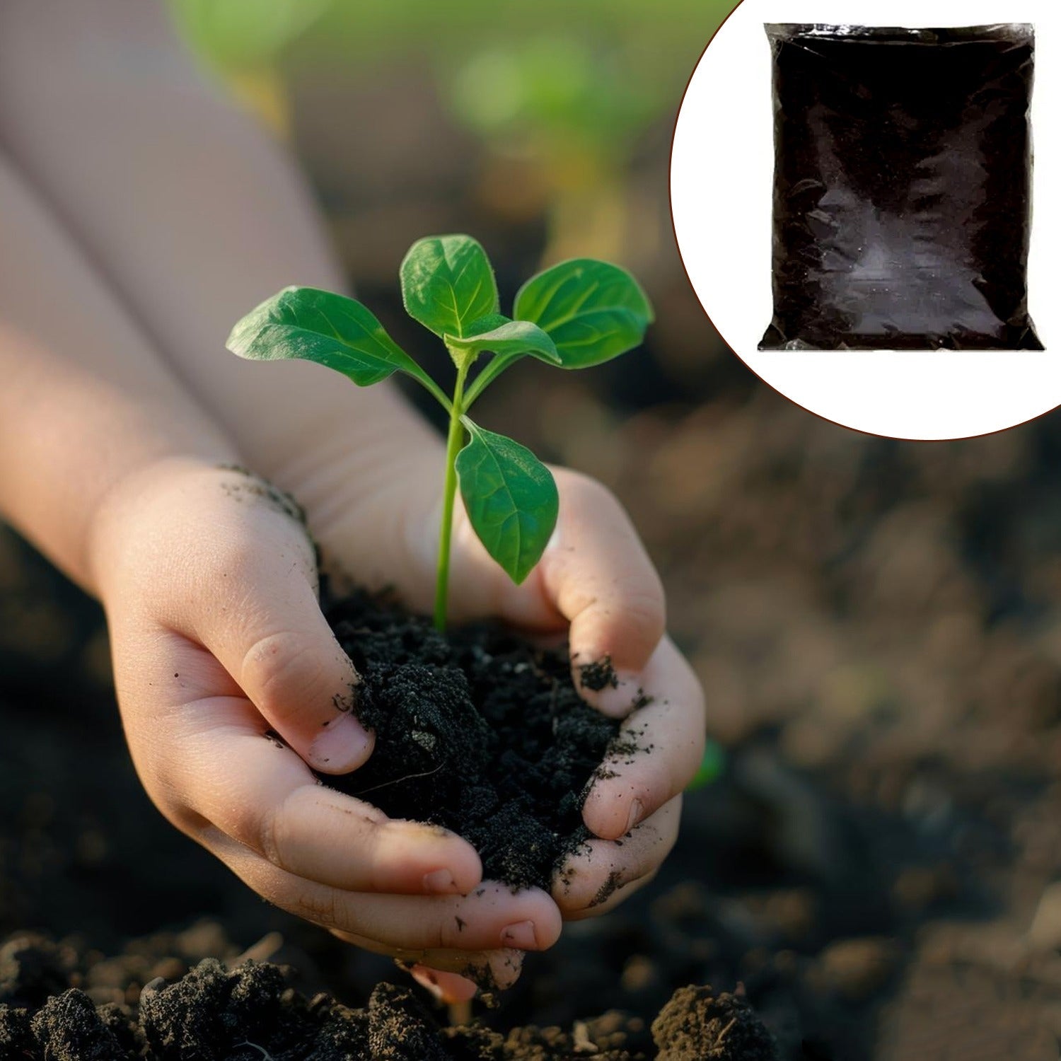 SoilEssence Vermicompost SoilEssence Vermicompost